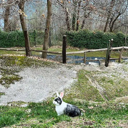 Vakantiehuis New Il Riccio Cernobbio